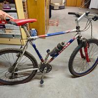 Mountain Bike Moser
