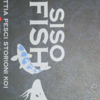 Carpe Koi e tutti pesci