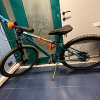 Bici bottecchia