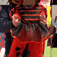 Vestito coccinella bimba carnevale 12/18 mesi