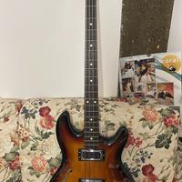 Basso Lakland Skyline Hollowbody Michael Tobias