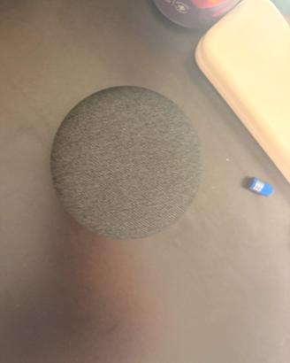 Google home