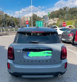 Mini countryman