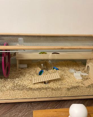 Terrario gabbietta per criceto