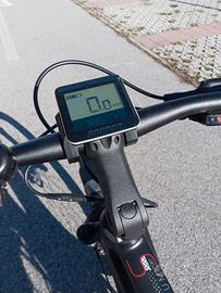 bici ha pedalata assistita