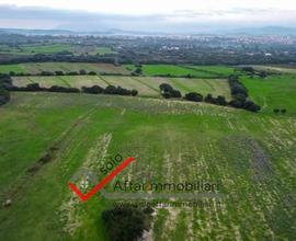 Terreno Agricolo Località Teggia e Sambene