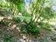 Immagine 26