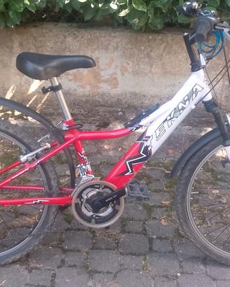 MTB 24"