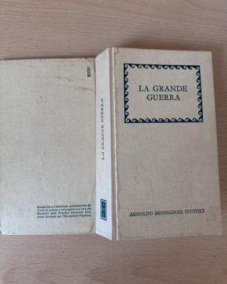 Libro La Grande guerra