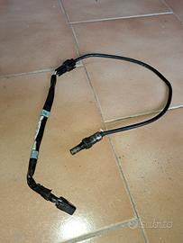 sonda lambda Triumph speed triple r dal 2016