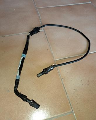 sonda lambda Triumph speed triple r dal 2016