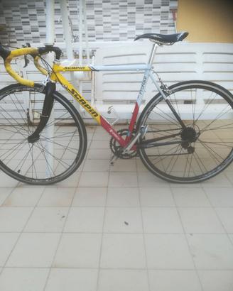 Bici da corsa