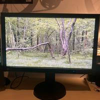 Monitor Eizo CG277