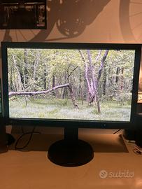 Monitor Eizo CG277