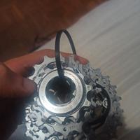Pacco pignoni Campagnolo 11V