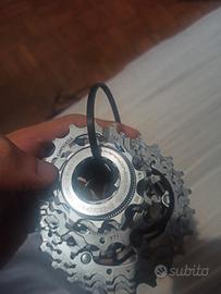 Pacco pignoni Campagnolo 11V