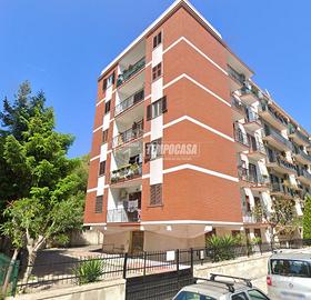 AMPIO E LUMINOSO BIVANI