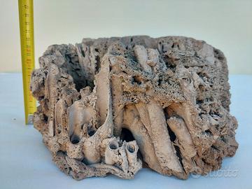 Pietra roccia fossile Pietra Suiseiki Decoro Piant