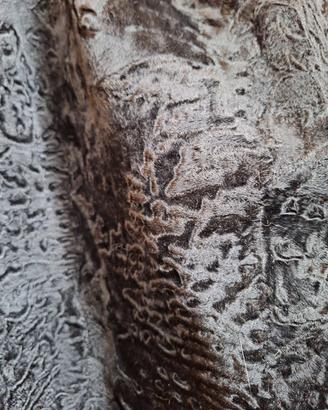 pelliccia astrakan 