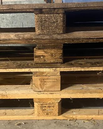 Bancali euro pallet