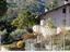 Immagine 18