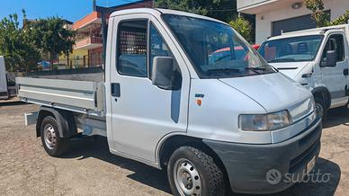 Fiat ducato cassonato