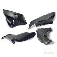 Pannelli fianchetti laterali carbonio monster 1200