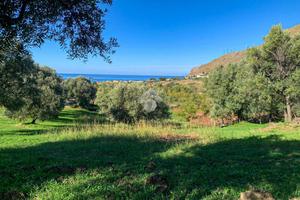 TER. AGRICOLO A AMANTEA