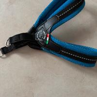 Pettorina cane/gatto