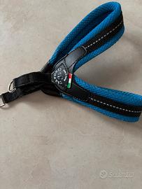 Pettorina cane/gatto