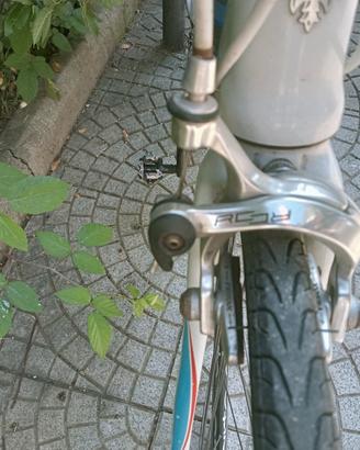 Bianchi da corsa 