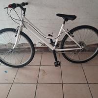 Bicicletta mtb 24 pollici 