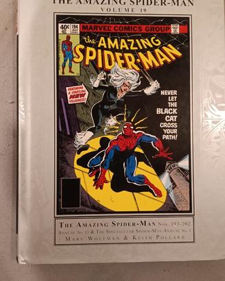 Amazing Spider-Man Masterworks 19