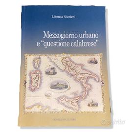 Mezzogiorno urbano e «questione calabrese»