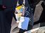Immagine 19