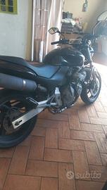 Hornet 600 