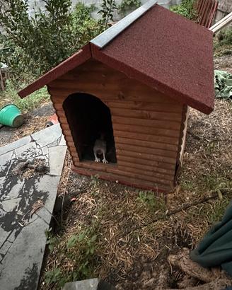 Cuccia cane taglia grande