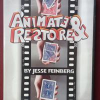 dvd Animate e Restore con gioco