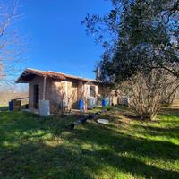 CASA INDIPENDENTE A VALLERANO