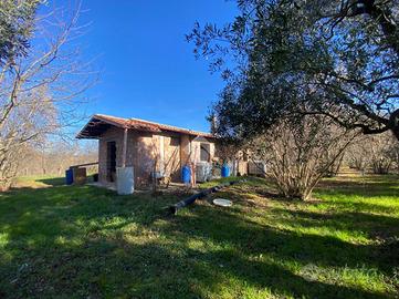 CASA INDIPENDENTE A VALLERANO