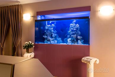 Acquario marino