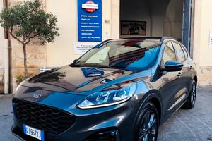 Ford Kuga 2.0 EcoBlue Hybrid 150 CV 2WD ST-Line