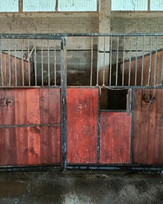 Box in legno per cavalli