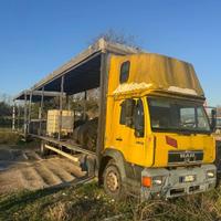 0610 AUTOTRENO BIGA MAN 2000