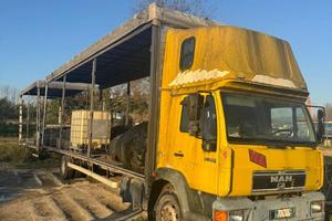 0610 AUTOTRENO BIGA MAN 2000