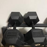 Manubri da 35 kg lacertosus