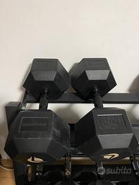 Manubri da 35 kg lacertosus