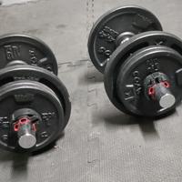 Manubri palestra con pesi 10 kg Domyos