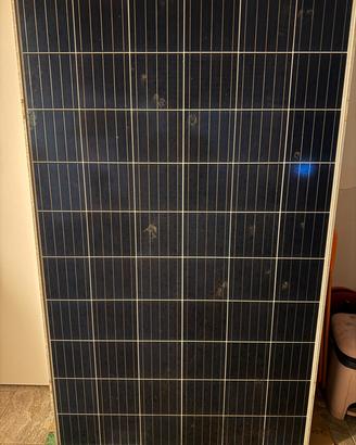 Moduli Fotovoltaici Viessmann 280W