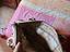 Immagine 4
